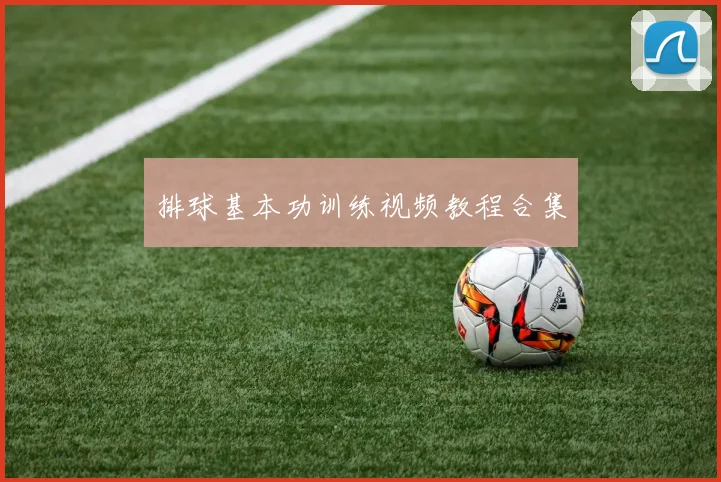 排球基本功训练视频教程合集