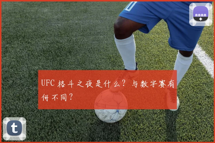 UFC 格斗之夜是什么?与数字赛有何不同?