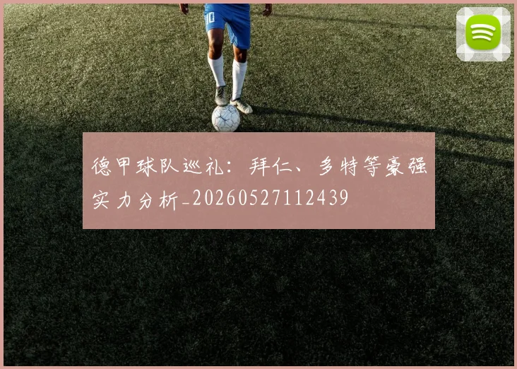 德甲球队巡礼：拜仁、多特等豪强实力分析_20260527112439