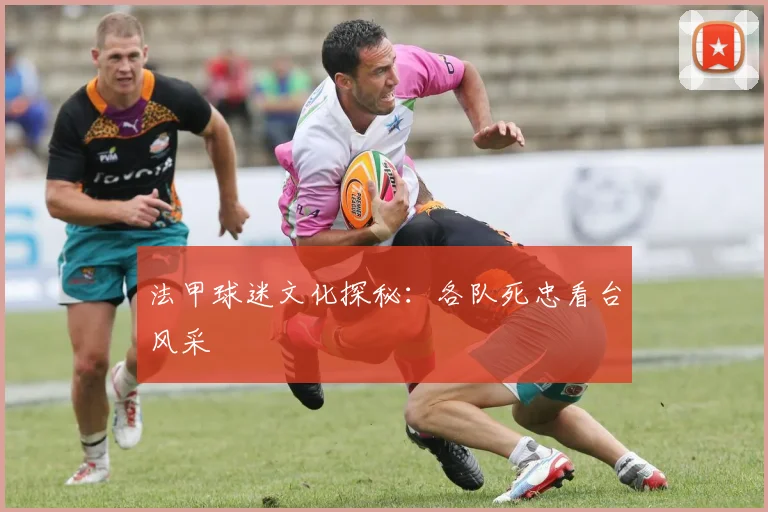 法甲球迷文化探秘：各队死忠看台风采