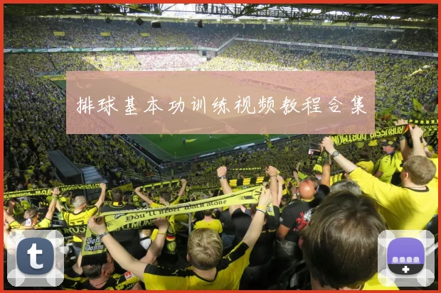 排球基本功训练视频教程合集