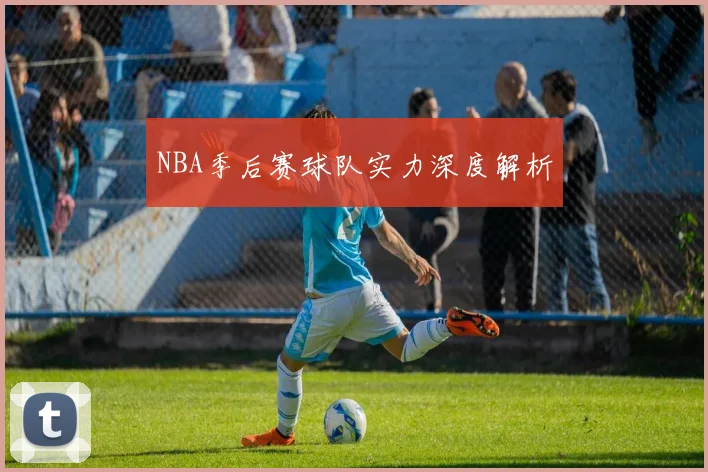 NBA季后赛球队实力深度解析